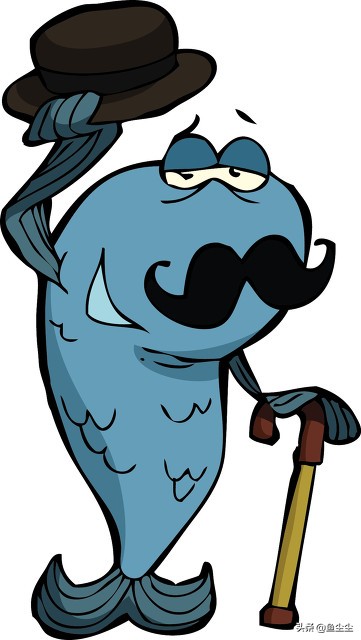 高中生必备物品,高中生开学必备物品清单女生