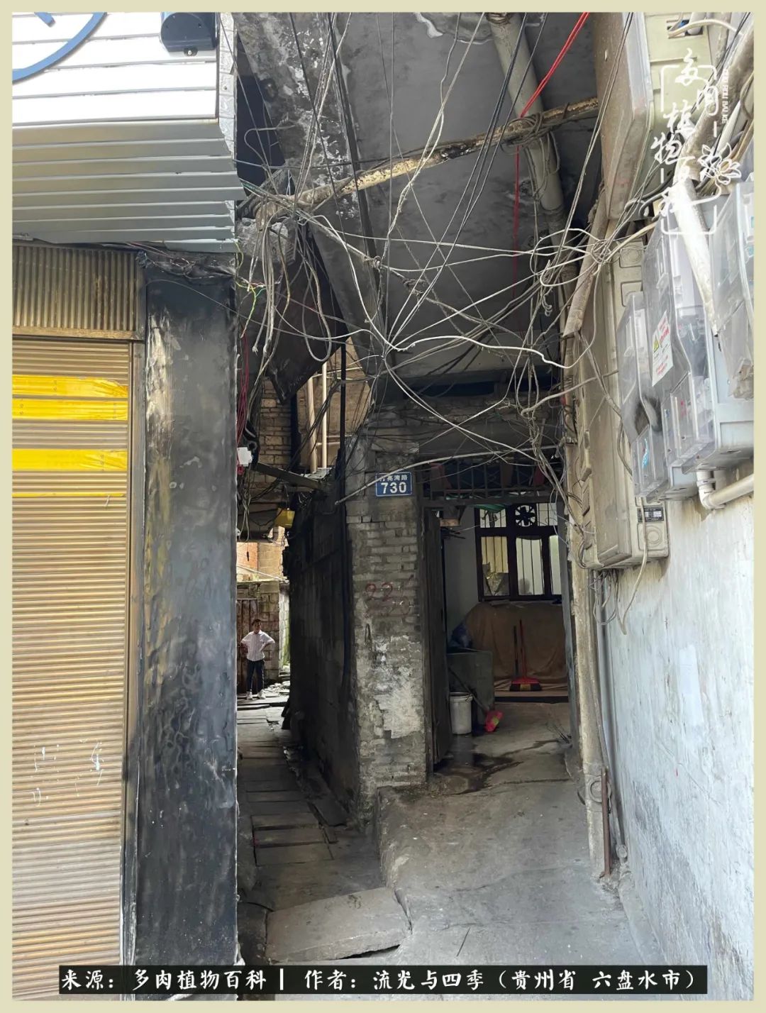 国庆假期你快乐吗？来，凉都美肉与你相伴一一小乌木的霸气东云