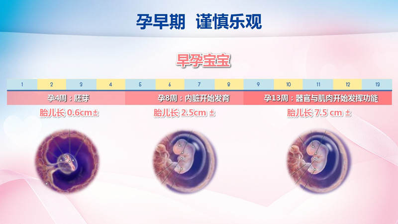 你竟是喝着自己的尿液长大的,在母亲体内,你都经历了什么?