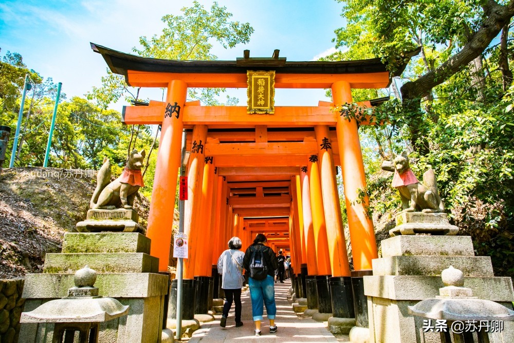 京都伏见稻荷神社可以爬一半吗,京都之旅