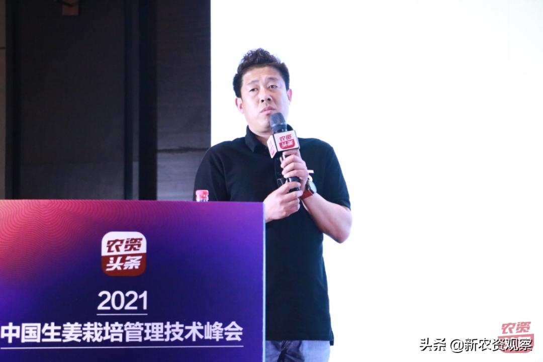 生姜栽培管理新技术,中国生姜栽培管理技术峰会