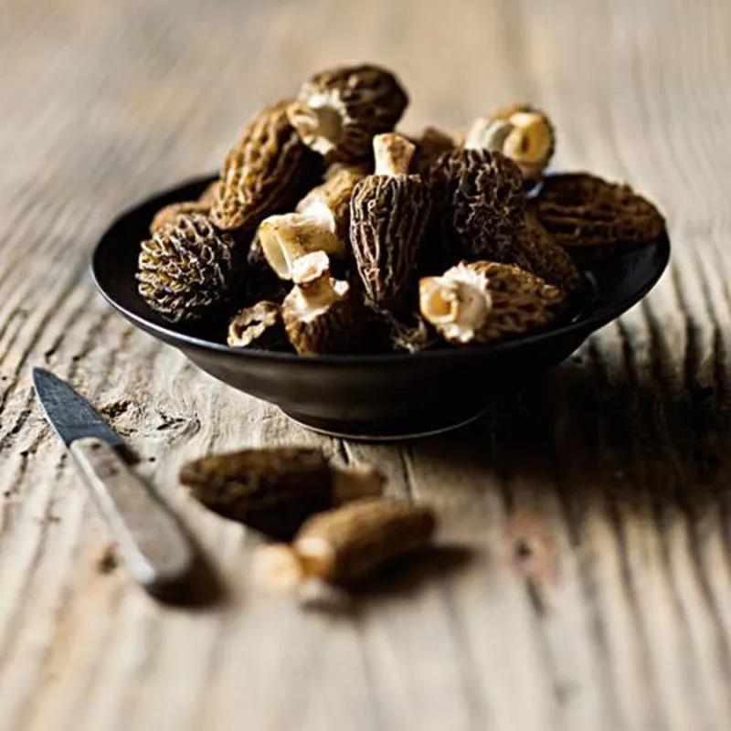 礼县秦皇故里景点,礼县秦文化特产