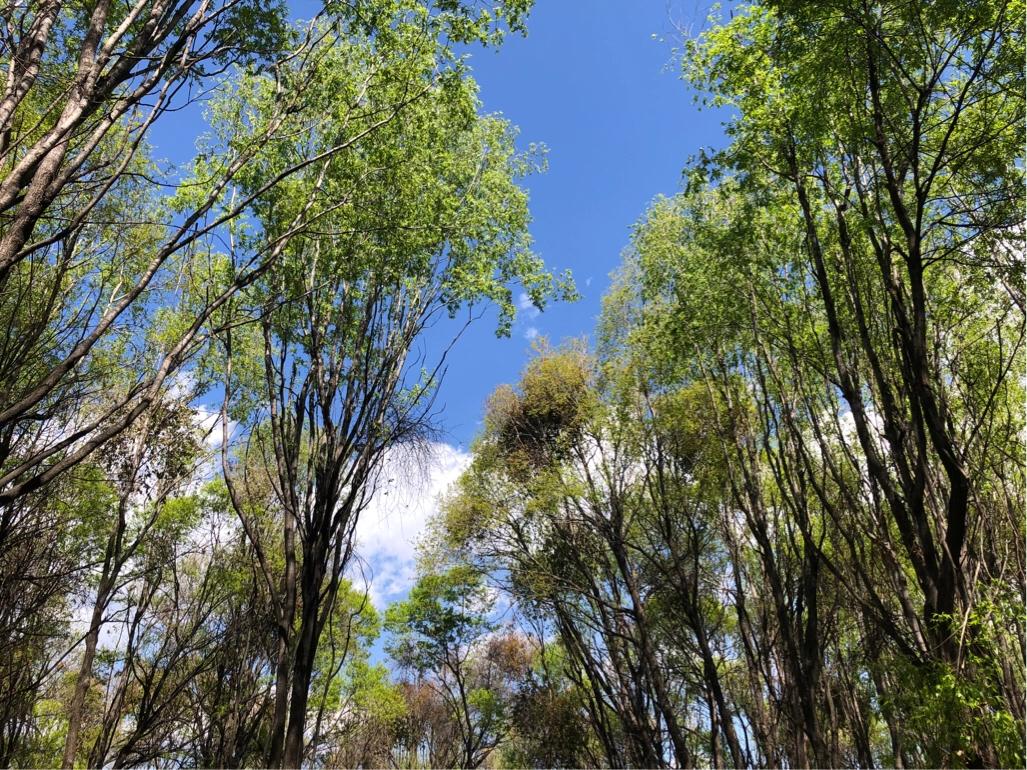 大理环海西路有哪些景点,你向往去的地方