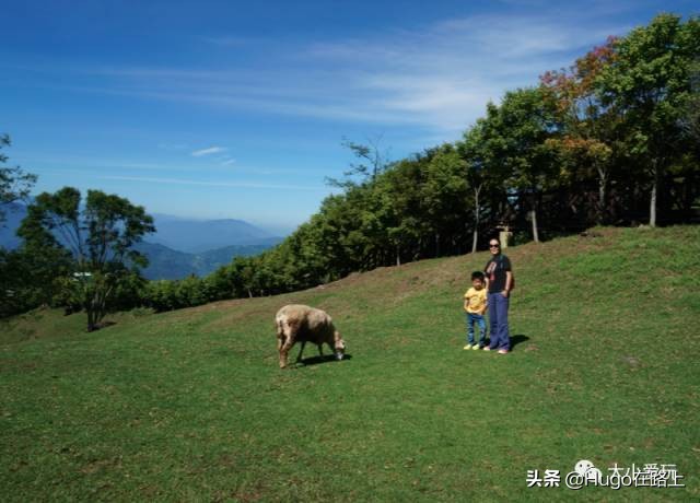 亲子游需要带孩子去旅行吗,带孩子去旅行的最佳方式