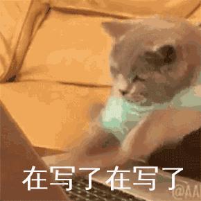 倩狐公司是正规的减肥品牌公司吗,倩狐健康减肥效果怎么样