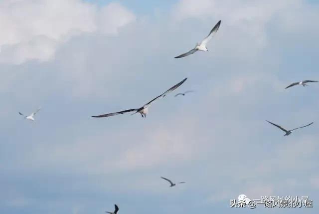 宁波渔山岛旅游攻略,海岛旅游推荐浙江渔山岛