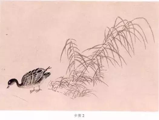 苏百钧工笔国画教学视频,苏百钧花鸟白描画稿