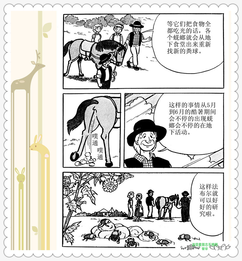 昆虫记法布尔动画片,昆虫记法布尔全套