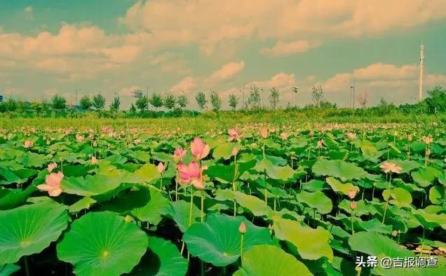 长春风景美的地方,长春最美的十大景点