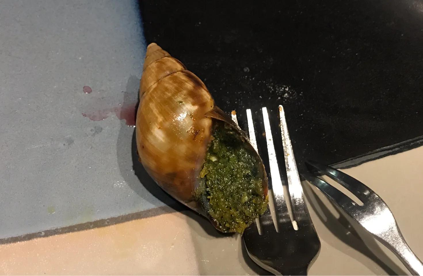 在宁波组了一场1800元一位的奔富酒局