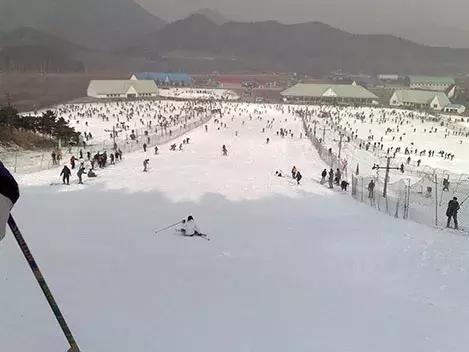 北京附近滑雪场哪家好,目前北京规模最大的滑雪场是哪个
