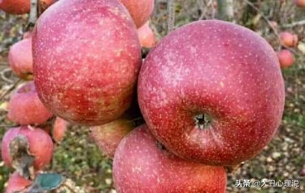 心理测试测你贵人是谁,心理测试你觉得哪个笑得最开心