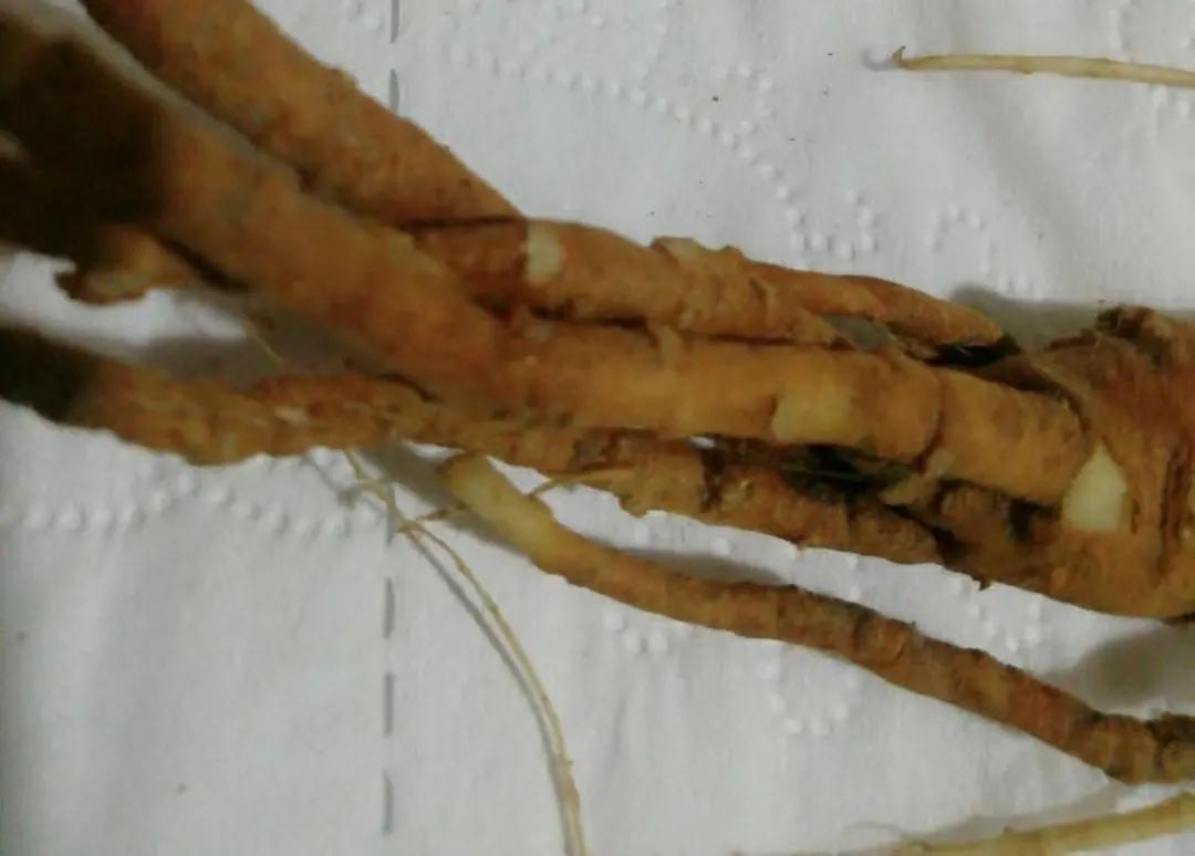 解决各种果树难座果,果树根茎腐病特效药配方