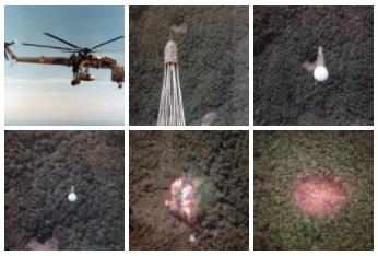 1975年春节，越南给我们送来的“特殊礼物”|2