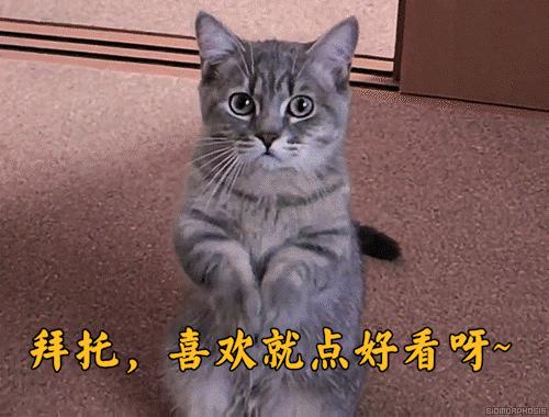 网红情侣全身照,网红情侣冬天全身照