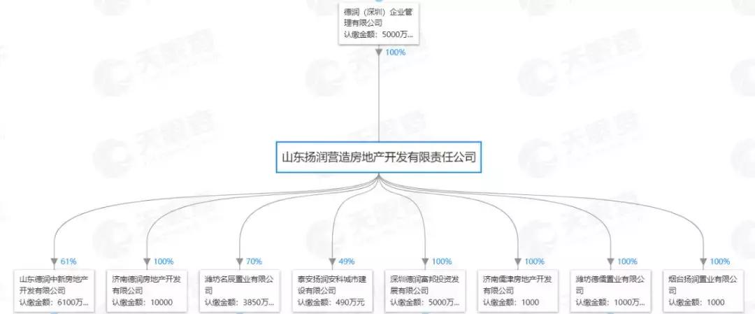潍坊哪个开发商的房子好,潍坊口碑房企排名