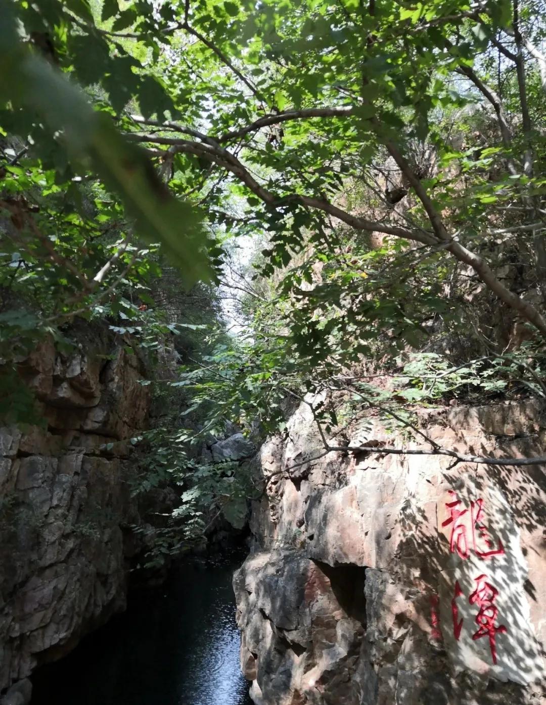 一个不出郑州的踏青好去处,天津春游公园推荐