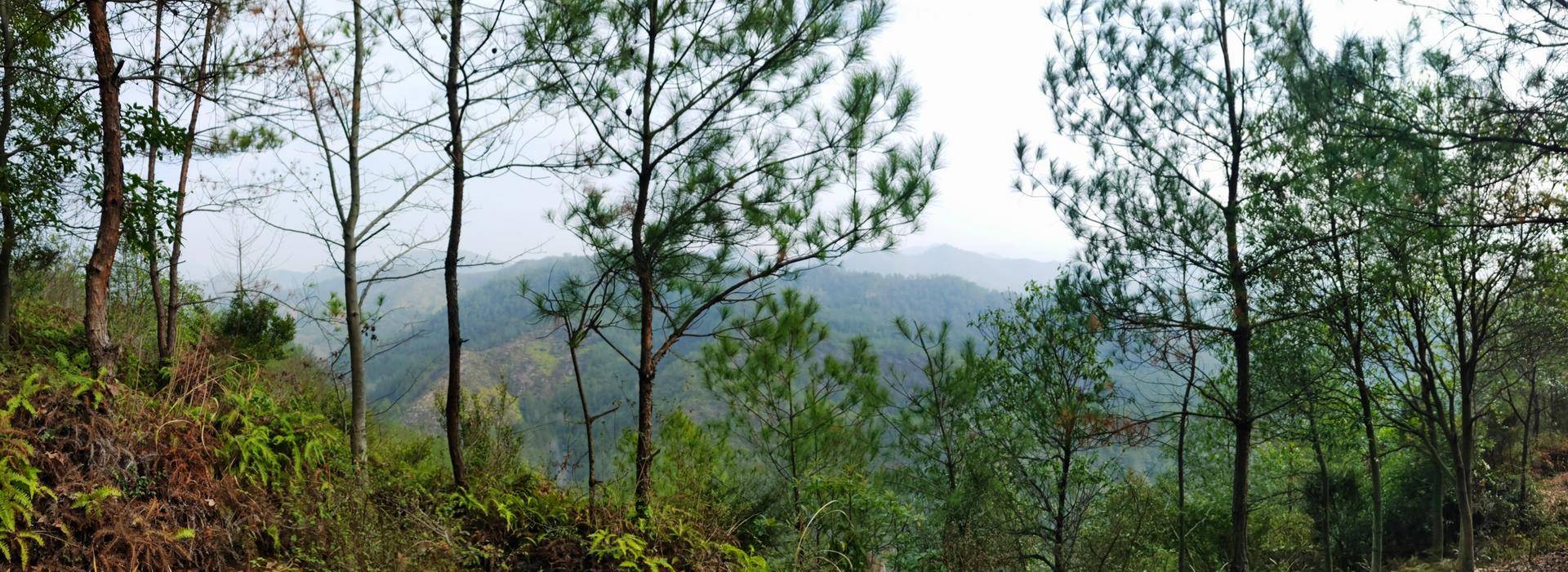 旅游/短线背包怎么选—拓乐ThuleCapstone22L背包体验记