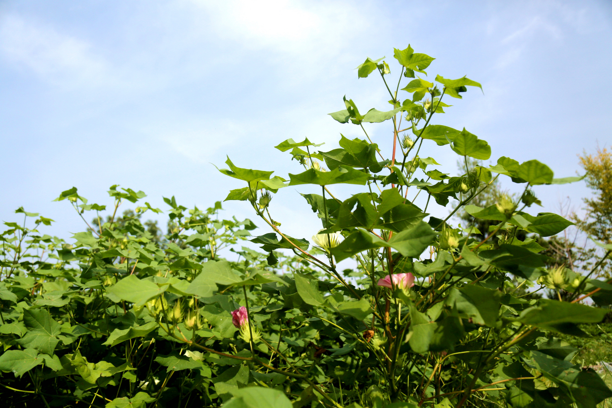 北京最大的温泉,北京最大的温泉是哪里