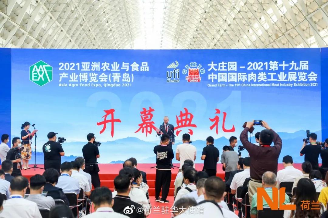 上海花博会讲解,上海花博会有什么