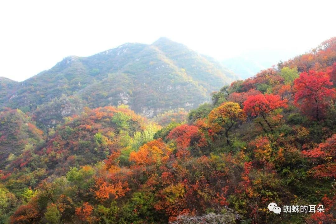 河北享水溪风景区,享水溪景区2018年