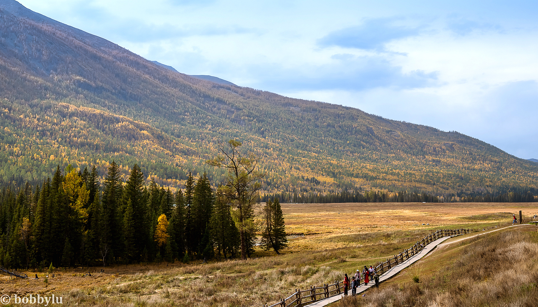 你知道什么叫美吗,你知道什么叫美吗粤语