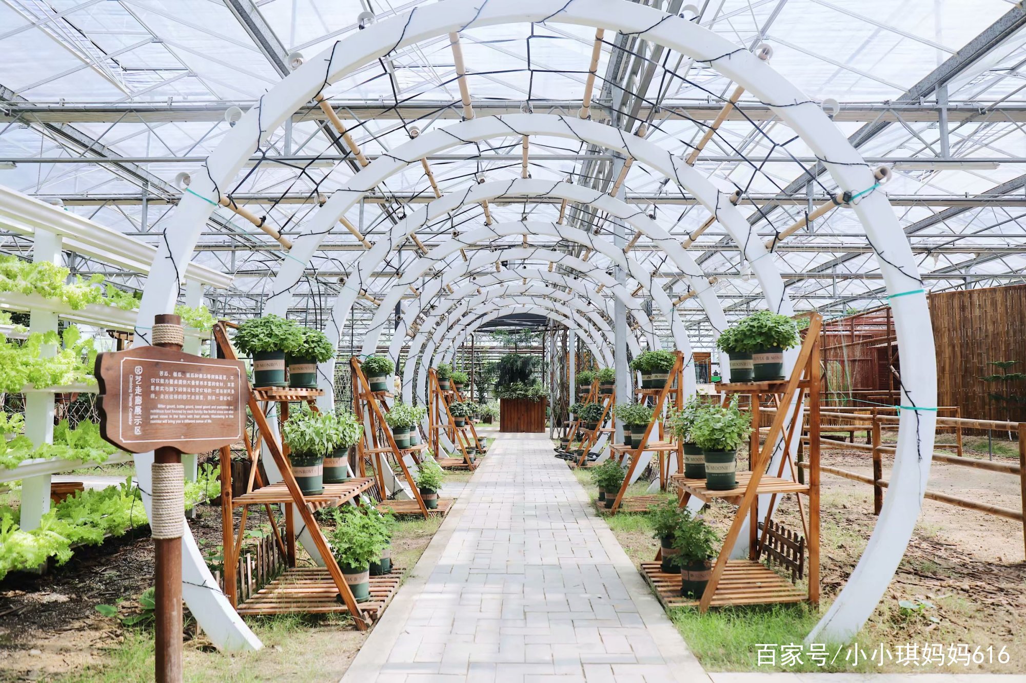 南京周边适合小众安静的旅行地,南京周边一天度假最好的地方