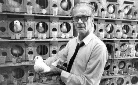 挂机爆率超高的养成类游戏,盘点推荐10款超爽的刷刷刷游戏