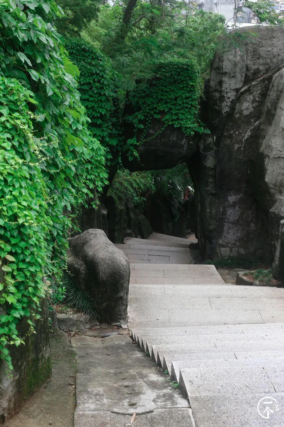 深圳一座被高估的城市,深圳严重被低估的板块