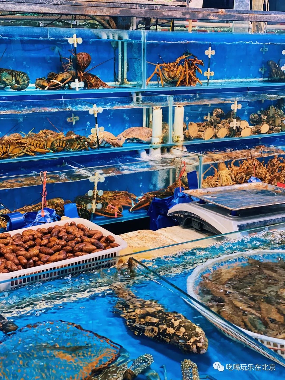 朝阳区海鲜市场,北京朝阳区海鲜市场