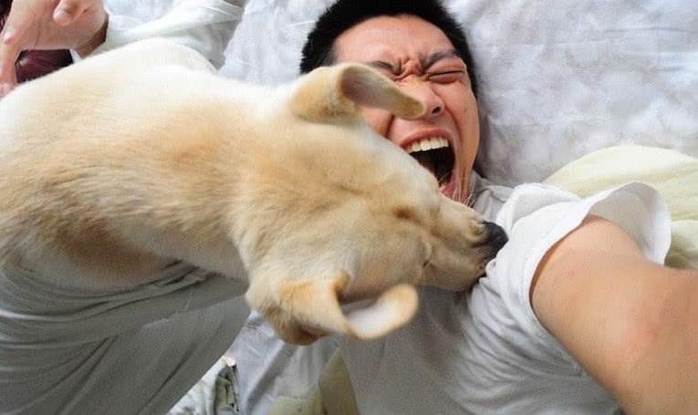 被狗咬了没出血有淤青怎么处理,被狗咬出血怎么处理