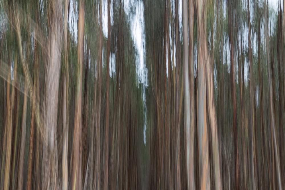 运动摄影拍摄姿势,摄影动作学习