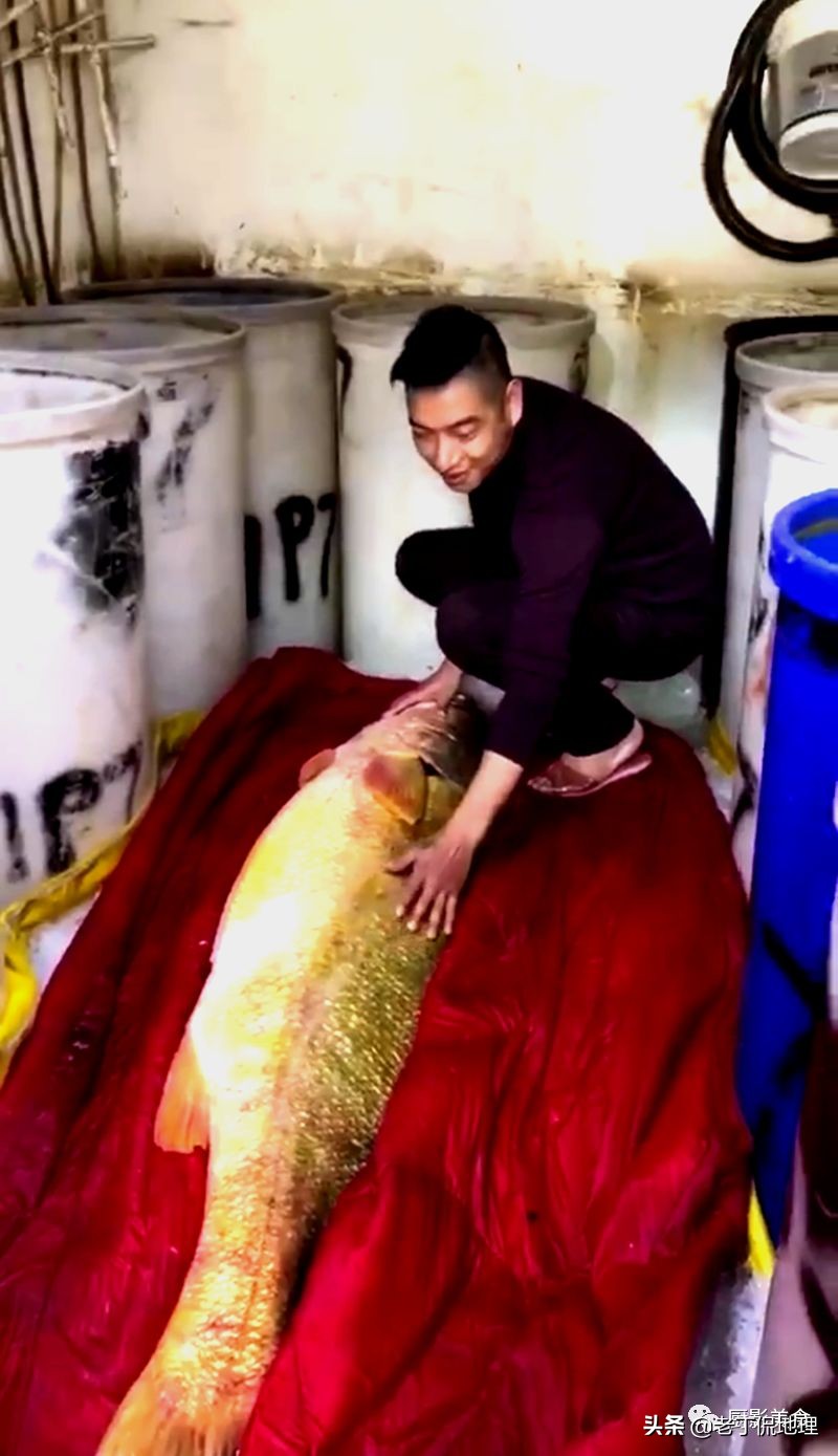 中国海鲜地图,中国海鲜最多地区