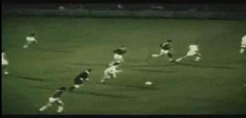 箭逐云鸿落鹰随月兔飞什么意思,箭逐云