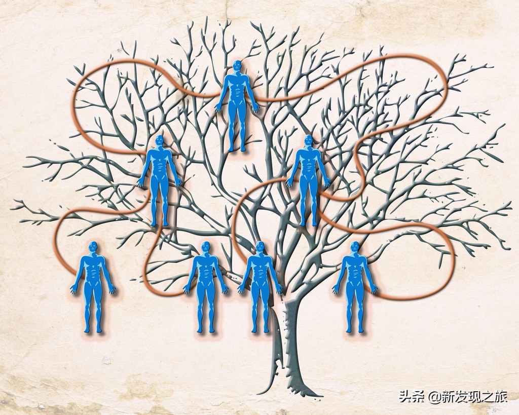 如果没了人类世界有多可怕,如果没了道德人会怎么样