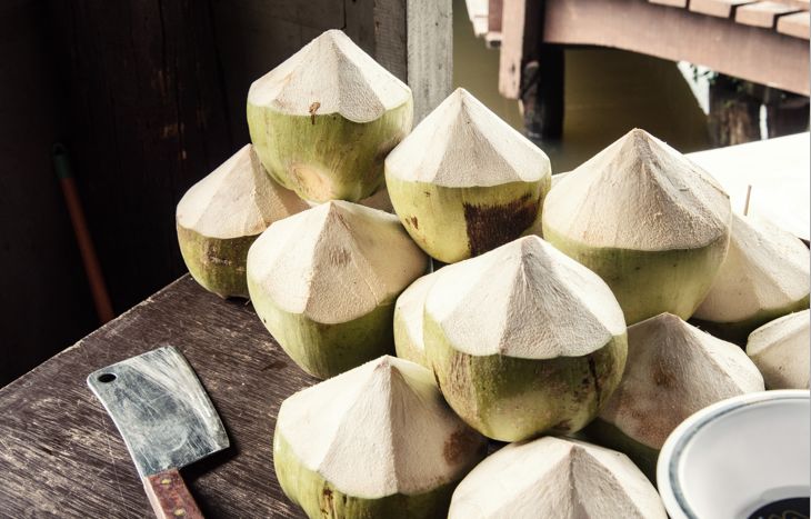 开椰子用口香糖,用口香糖开椰子告诉我们什么道理