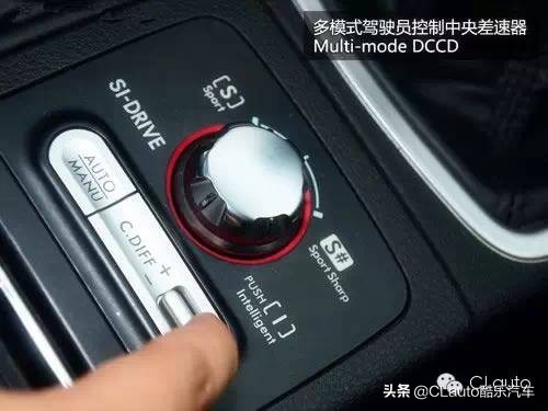 ​近乎残疾，不忍直视|流浪豹STI收养记Vol.01