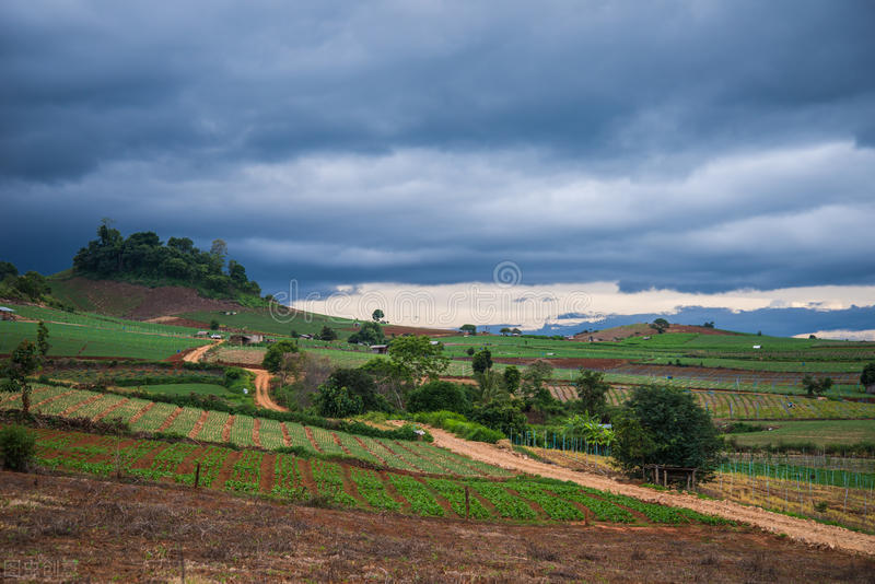 一个乡下来的小伙一单生意赚30万,身无分文在农村怎么做小生意赚钱