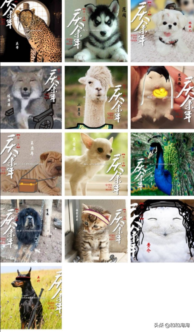 庆余年羊驼搞笑,庆余年动物搞笑图片