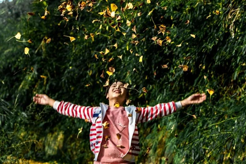 黄色警报响,黄色警报响起