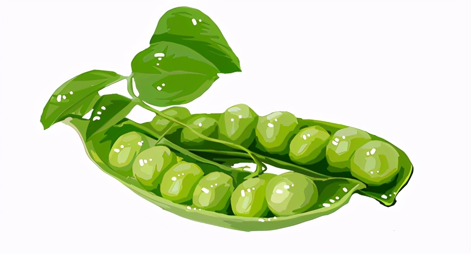 5月应季食物有什么营养价值,最应季的食材是最好的