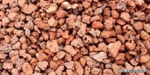 养花的铺石有哪些种类,养花石怎么种植好呢