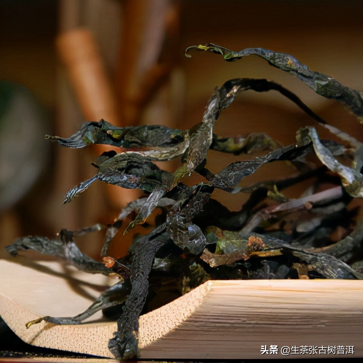 古树普洱茶有哪些品质,什么叫普洱茶古树