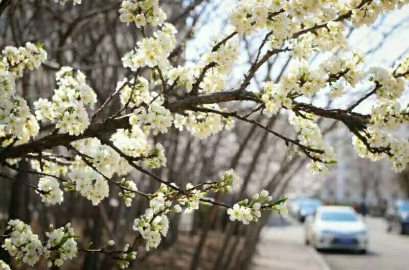 辽宁身份证高清照片,辽宁最牛身份证