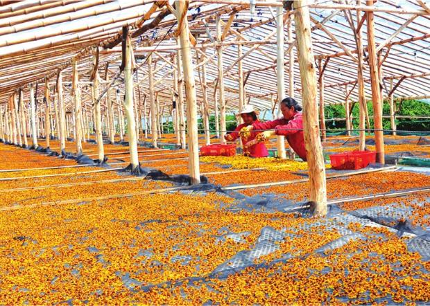 舌尖上的中国特产品味人家,舌尖上的中国特产大全集