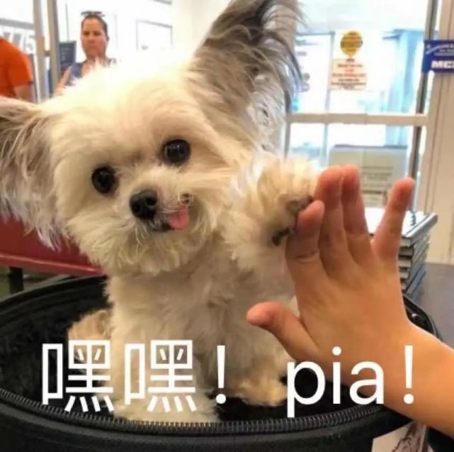 炎热的夏季应该穿哪种骑行服,春夏运动装备怎么选