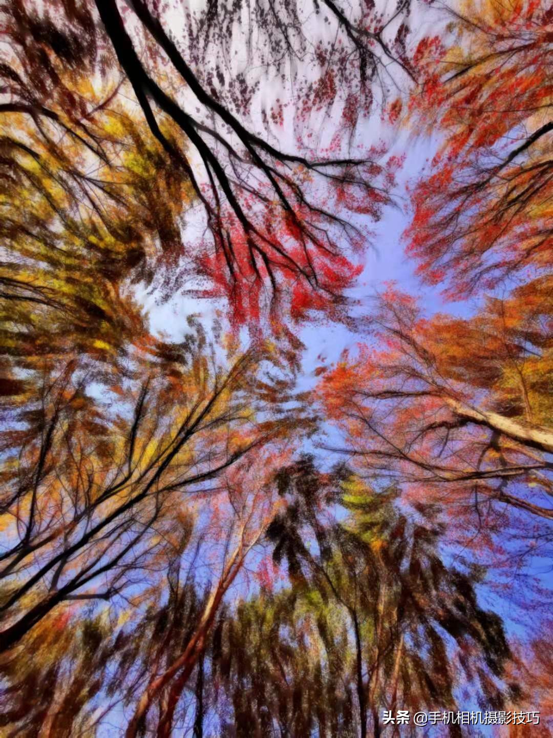 学摄影要听前人话吗,摄影小白零基础学摄影图片