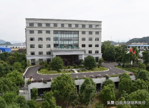 硫酸粘菌素和硫酸粘杆菌有区别,硫酸粘菌素和电解多维能混用吗