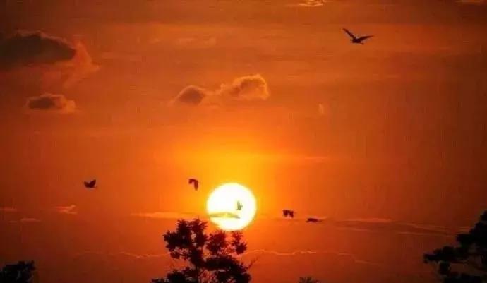 南昌附近一日游的景点有哪些,南昌旅游景点推荐一日游