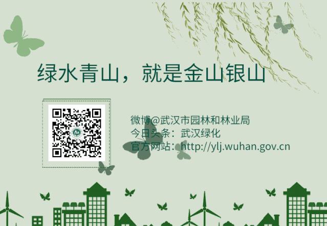 建微信群帮淘宝买东西,建微信群怎么卖东西